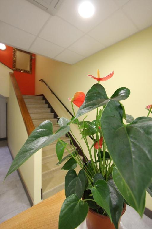 Le Provencal Hotel Tarascon Ngoại thất bức ảnh